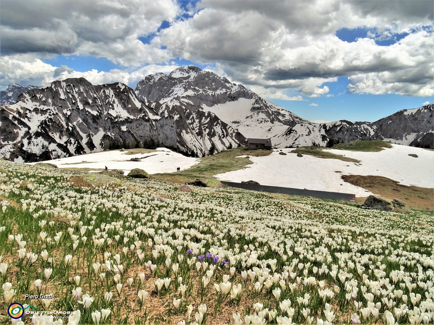 72 Mi abbasso alla Baita di Monte Campo (1878 m).JPG